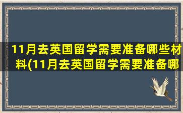 11月去英国留学需要准备哪些材料(11月去英国留学需要准备哪些资料)