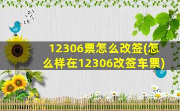 12306票怎么改签(怎么样在12306改签车票)