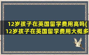 12岁孩子在英国留学费用高吗(12岁孩子在英国留学费用大概多少)