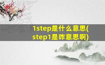 1step是什么意思(step1是咋意思啊)