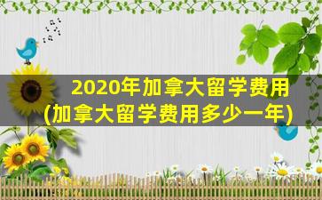 2020年加拿大留学费用(加拿大留学费用多少一年)