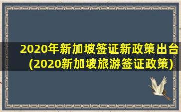 2020年新加坡签证新政策出台(2020新加坡旅游签证政策)