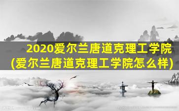 2020爱尔兰唐道克理工学院(爱尔兰唐道克理工学院怎么样)