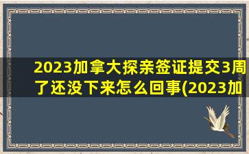 2023加拿大探亲签证提交3周了还没下来怎么回事(2023加拿大探亲签证网申2个月没有结果)