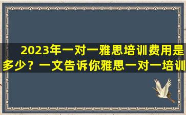 2023年一对一雅思培训费用是多少？一文告诉你雅思一对一培训最新价格