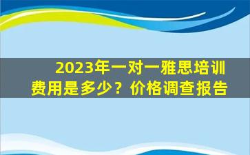 2023年一对一雅思培训费用是多少？价格调查报告