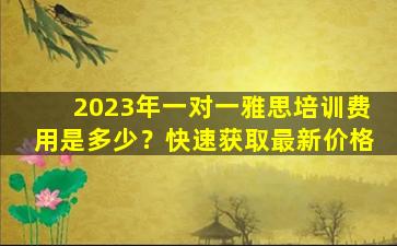 2023年一对一雅思培训费用是多少？快速获取最新价格