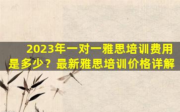 2023年一对一雅思培训费用是多少？最新雅思培训价格详解