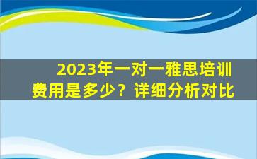 2023年一对一雅思培训费用是多少？详细分析对比