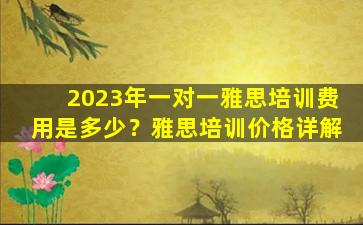 2023年一对一雅思培训费用是多少？雅思培训价格详解