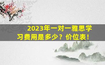 2023年一对一雅思学习费用是多少？价位表！