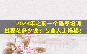 2023年之前一个雅思培训班要花多少钱？专业人士揭秘！