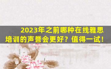 2023年之前哪种在线雅思培训的声誉会更好？值得一试！