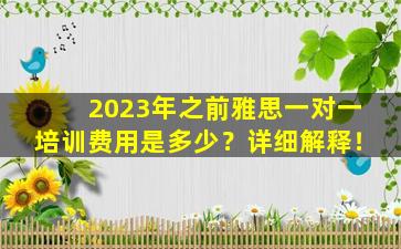 2023年之前雅思一对一培训费用是多少？详细解释！