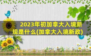 2023年初加拿大入境新规是什么(加拿大入境新政)