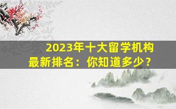 2023年十大留学机构最新排名：你知道多少？