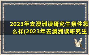 2023年去澳洲读研究生条件怎么样(2023年去澳洲读研究生条件如何)