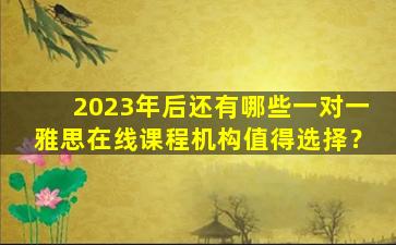 2023年后还有哪些一对一雅思在线课程机构值得选择？