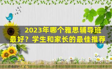 2023年哪个雅思辅导班最好？学生和家长的最佳推荐