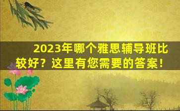 2023年哪个雅思辅导班比较好？这里有您需要的答案！