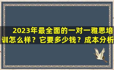 2023年最全面的一对一雅思培训怎么样？它要多少钱？成本分析+学生口碑分享