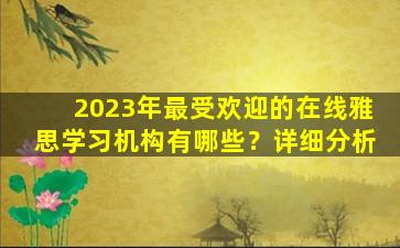 2023年最受欢迎的在线雅思学习机构有哪些？详细分析