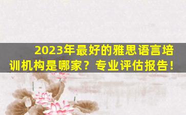 2023年最好的雅思语言培训机构是哪家？专业评估报告！