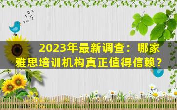 2023年最新调查：哪家雅思培训机构真正值得信赖？