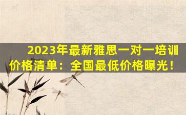 2023年最新雅思一对一培训价格清单：全国最低价格曝光！