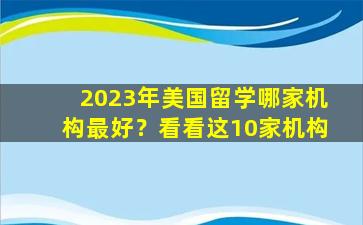 2023年美国留学哪家机构最好？看看这10家机构