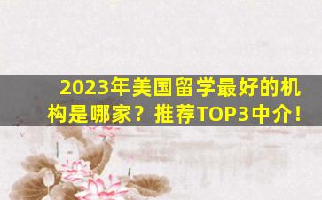 2023年美国留学最好的机构是哪家？推荐TOP3中介！