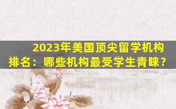 2023年美国顶尖留学机构排名：哪些机构最受学生青睐？