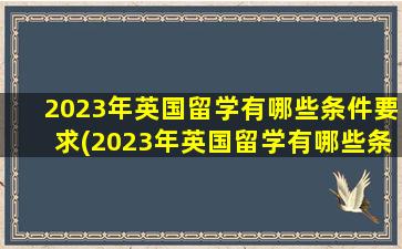 2023年英国留学有哪些条件要求(2023年英国留学有哪些条件和要求)