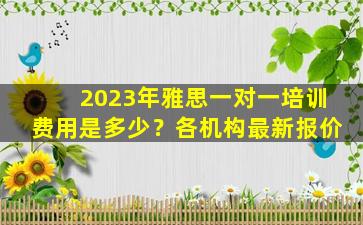 2023年雅思一对一培训费用是多少？各机构最新报价