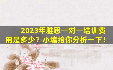 2023年雅思一对一培训费用是多少？小编给你分析一下！