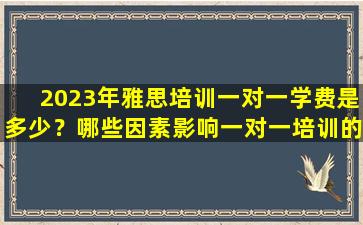 2023年雅思培训一对一学费是多少？哪些因素影响一对一培训的价格？