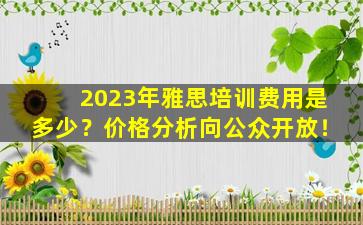 2023年雅思培训费用是多少？价格分析向公众开放！