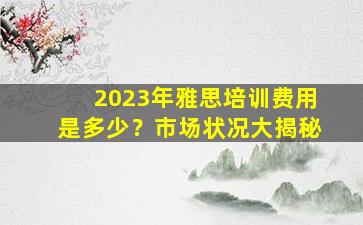 2023年雅思培训费用是多少？市场状况大揭秘