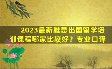 2023最新雅思出国留学培训课程哪家比较好？专业口译