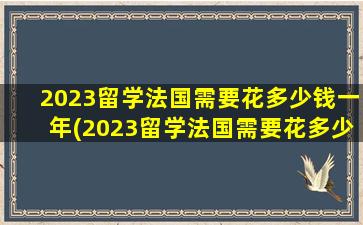 2023留学法国需要花多少钱一年(2023留学法国需要花多少钱费用)