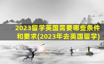 2023留学英国需要哪些条件和要求(2023年去英国留学)