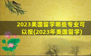 2023美国留学哪些专业可以报(2023年美国留学)