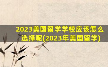 2023美国留学学校应该怎么选择呢(2023年美国留学)