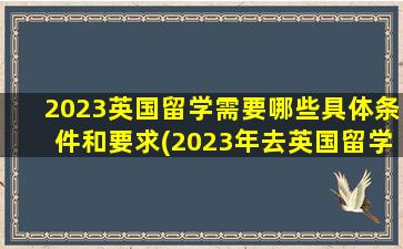 2023英国留学需要哪些具体条件和要求(2023年去英国留学)