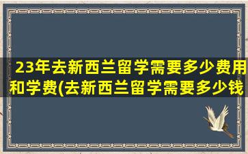 23年去新西兰留学需要多少费用和学费(去新西兰留学需要多少钱)