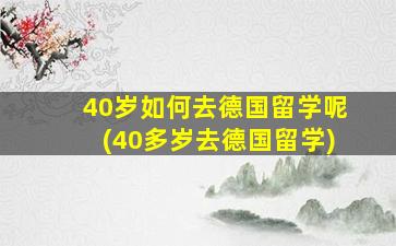 40岁如何去德国留学呢(40多岁去德国留学)