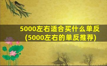 5000左右适合买什么单反(5000左右的单反推荐)