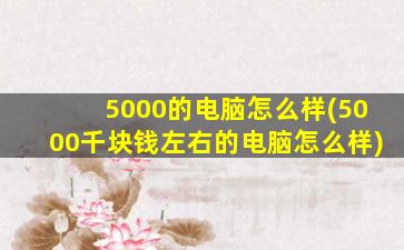 5000的电脑怎么样(5000千块钱左右的电脑怎么样)