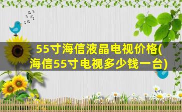 55寸海信液晶电视价格(海信55寸电视多少钱一台)