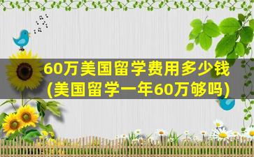 60万美国留学费用多少钱(美国留学一年60万够吗)